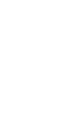w logo
